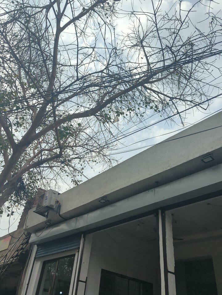 Wholesale company Hafiz Traders, Lahore, photo