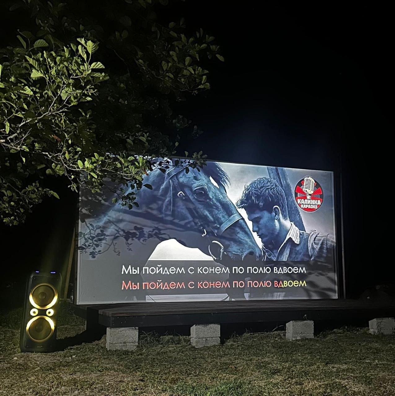 Фото Сад чудес