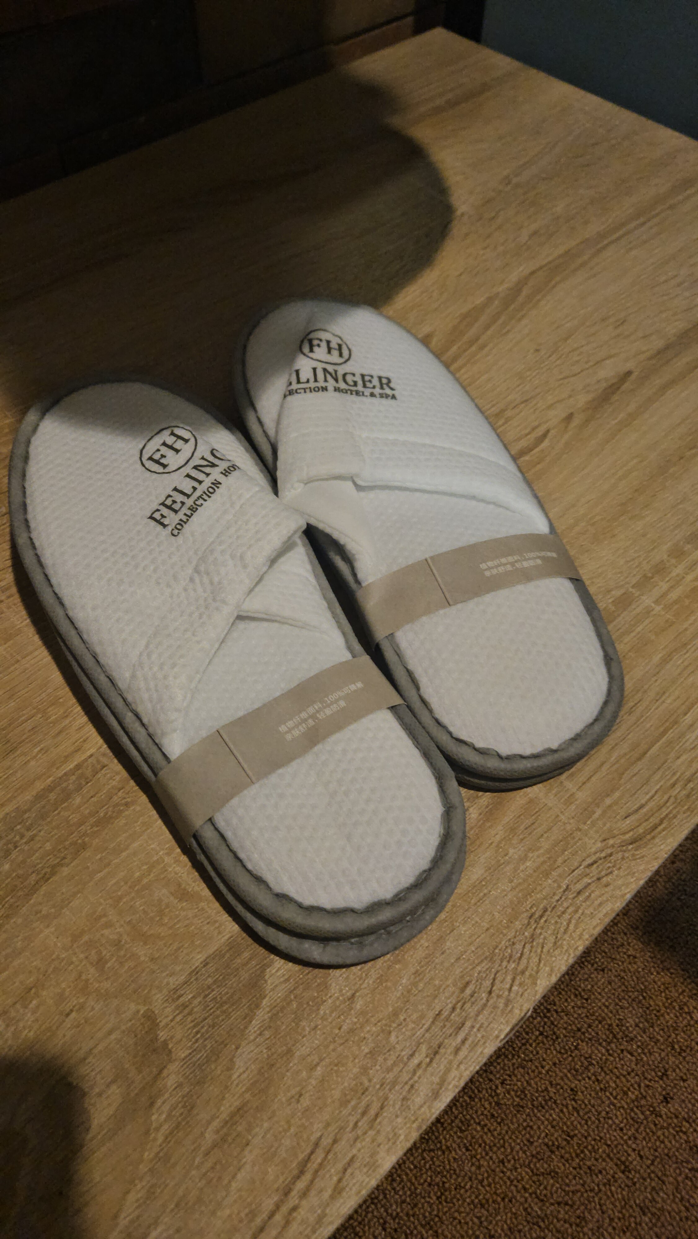 Фото Felinger Hotel