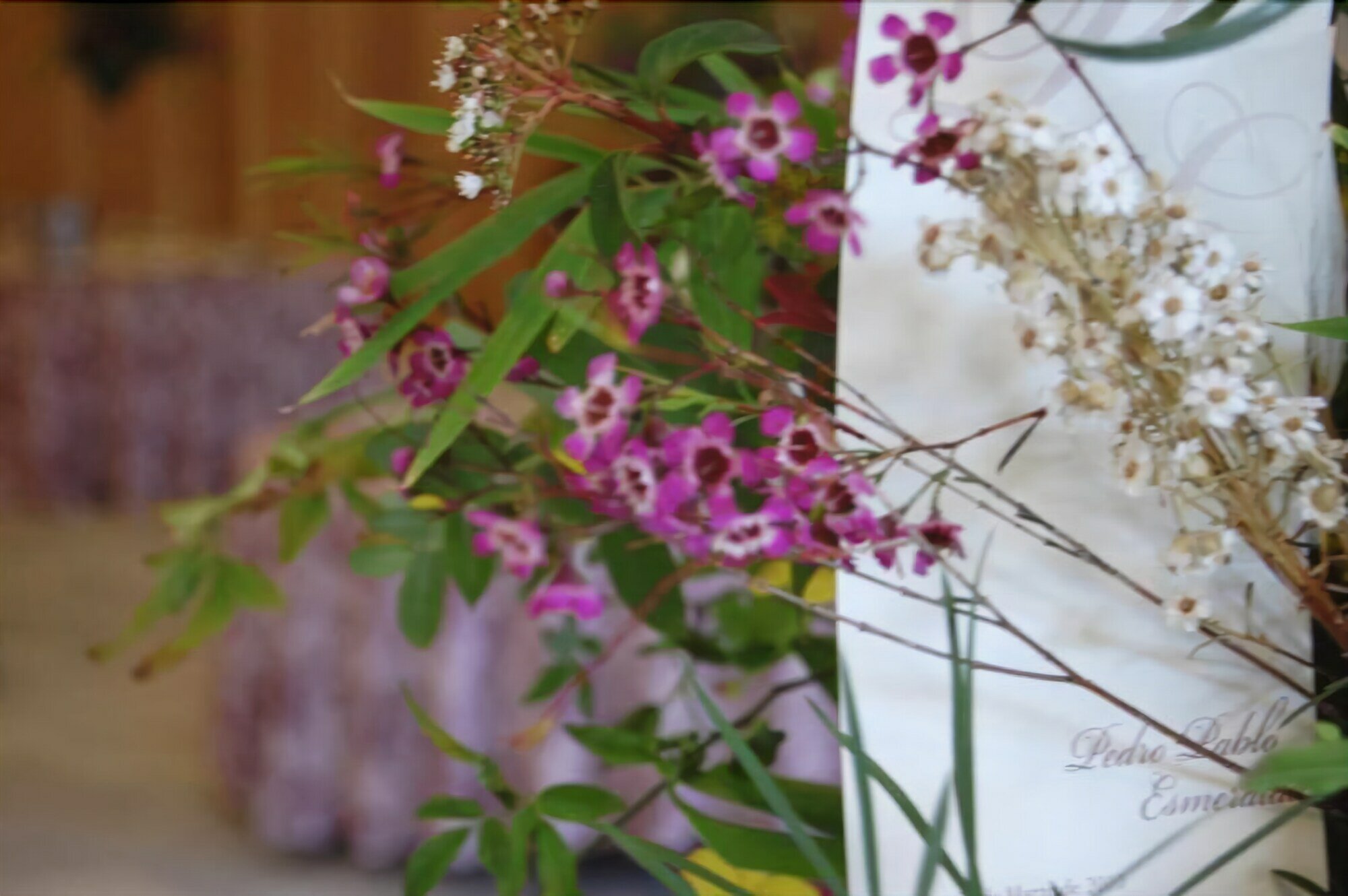 Фото Hotel Rl Anibal