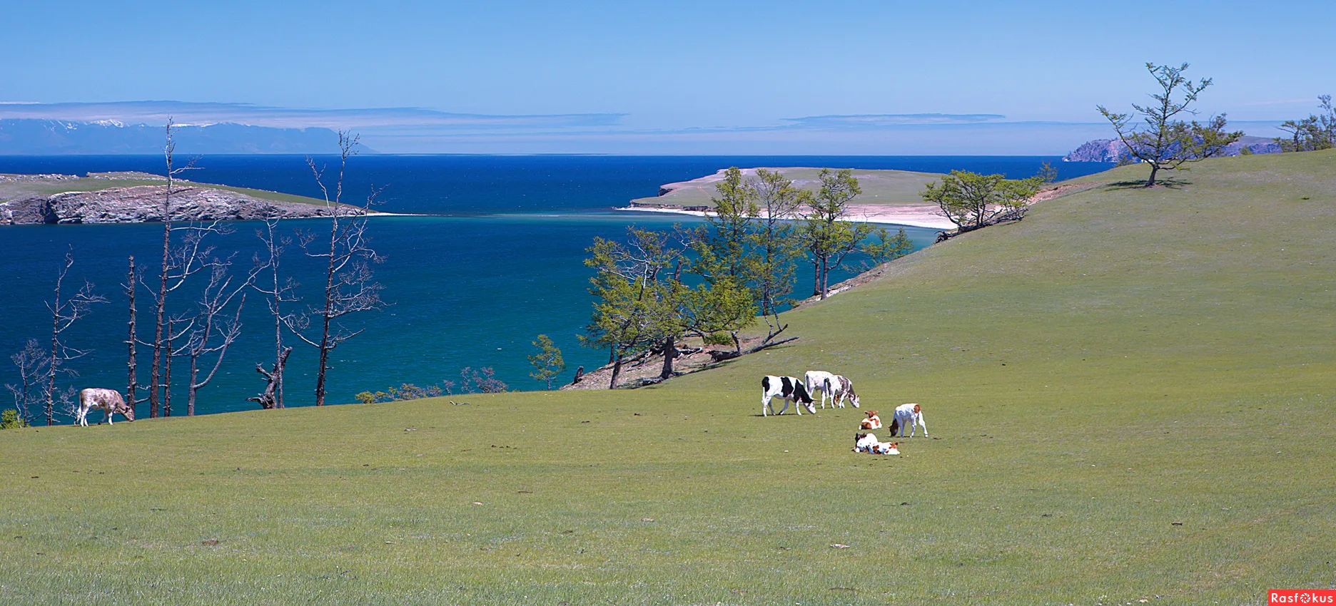 Фото У Даримы