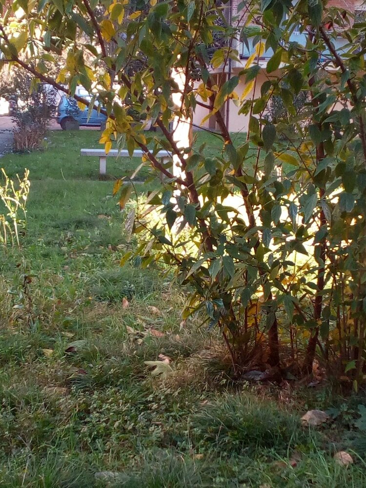 Фото B&b Acquario