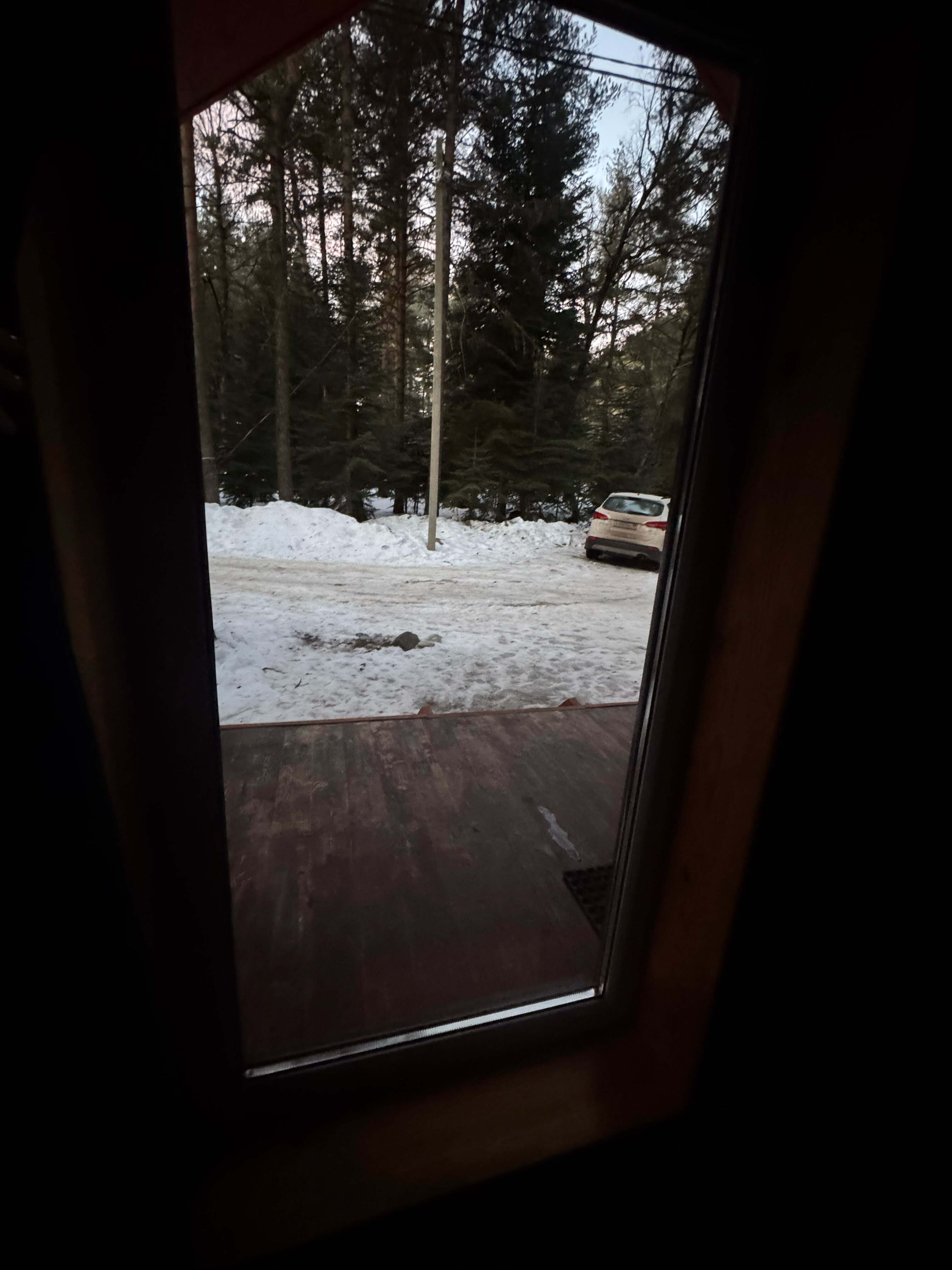 Фото Белый волк