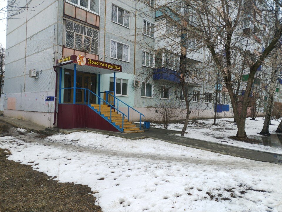 Фото Золотая рыбка