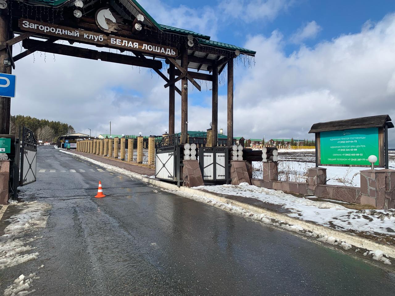 Фото Белая лошадь