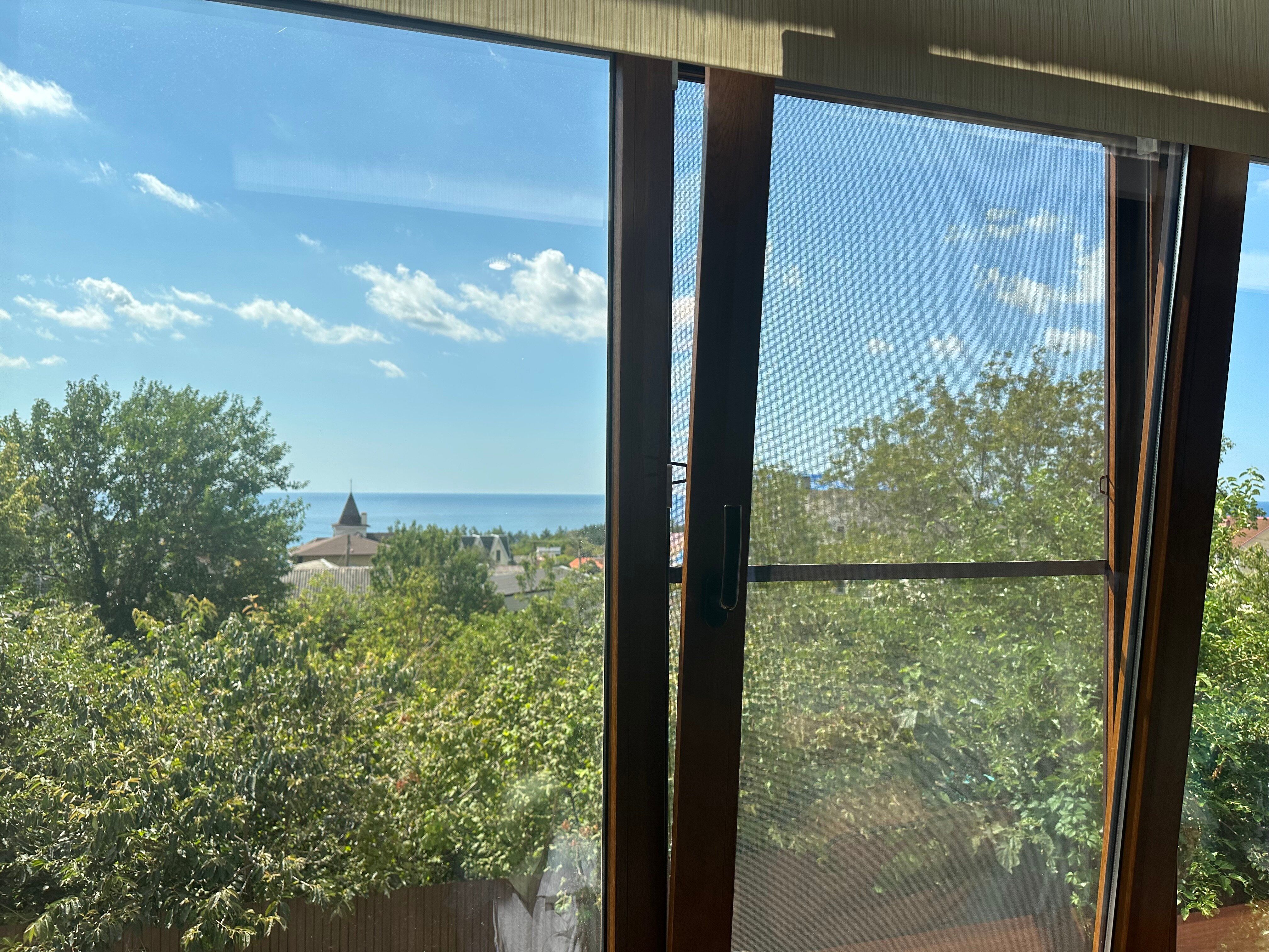 Фото Альбатрос