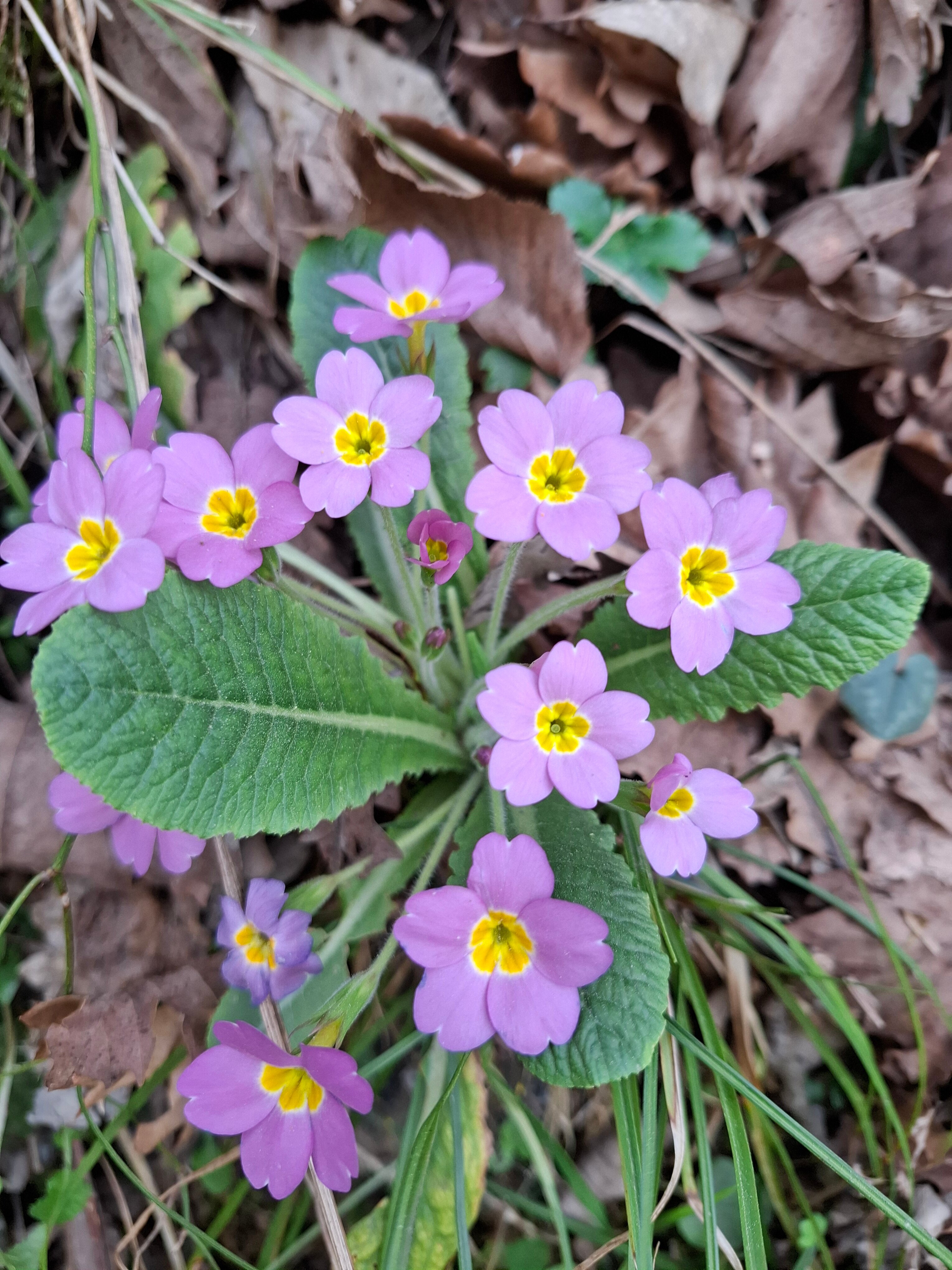 Фото Мацеста Береговая