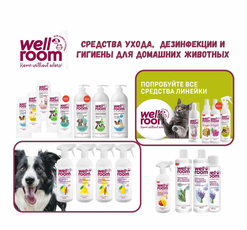 Household chemicals wholesale Imba Trade, Almaty, photo