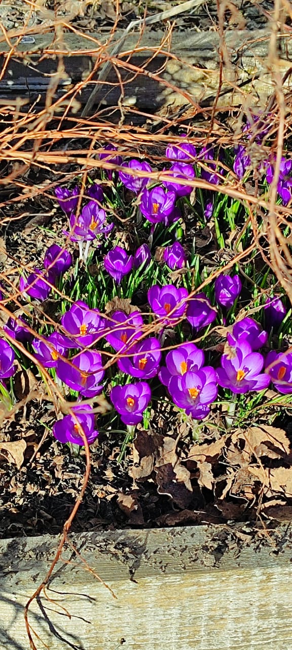 Фото Усадьба Заповедная