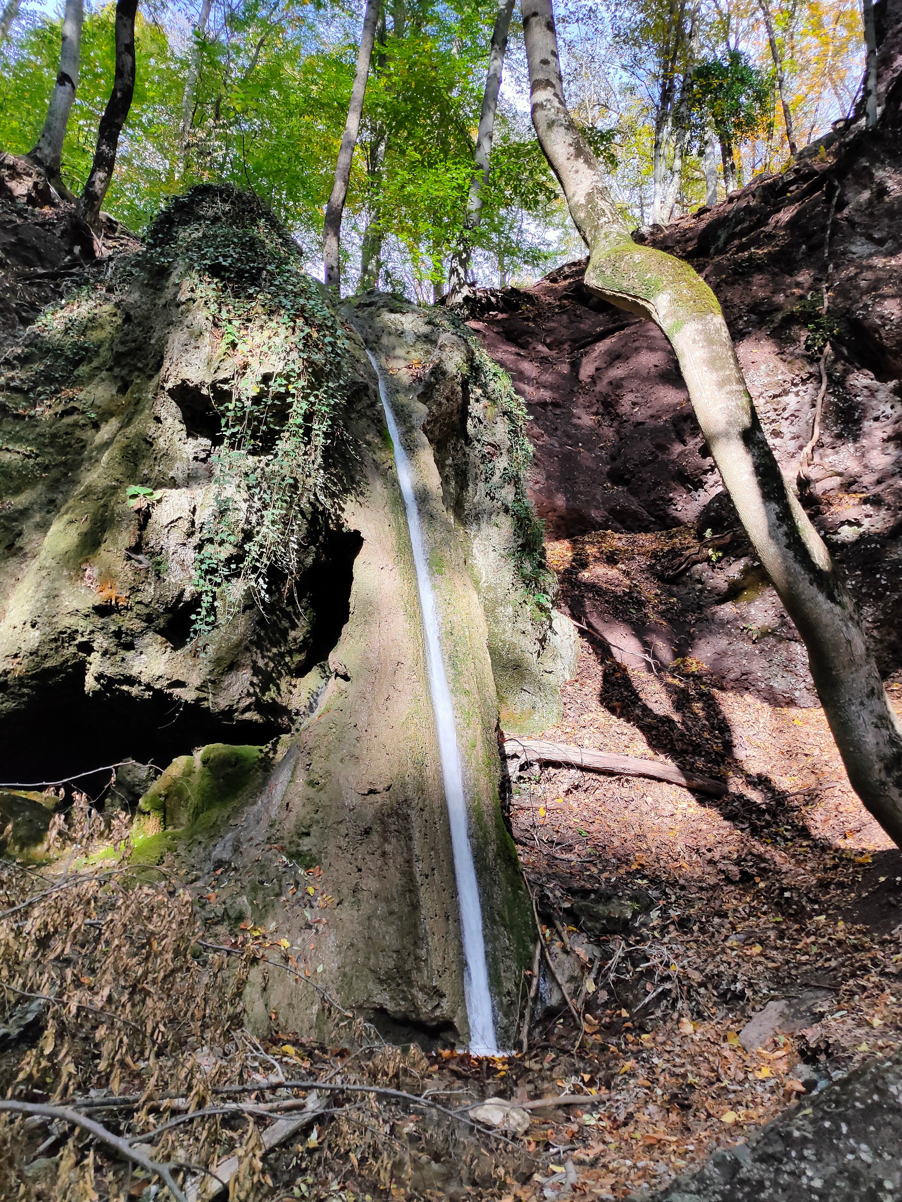 Фото Купольный домик в горах Крыма