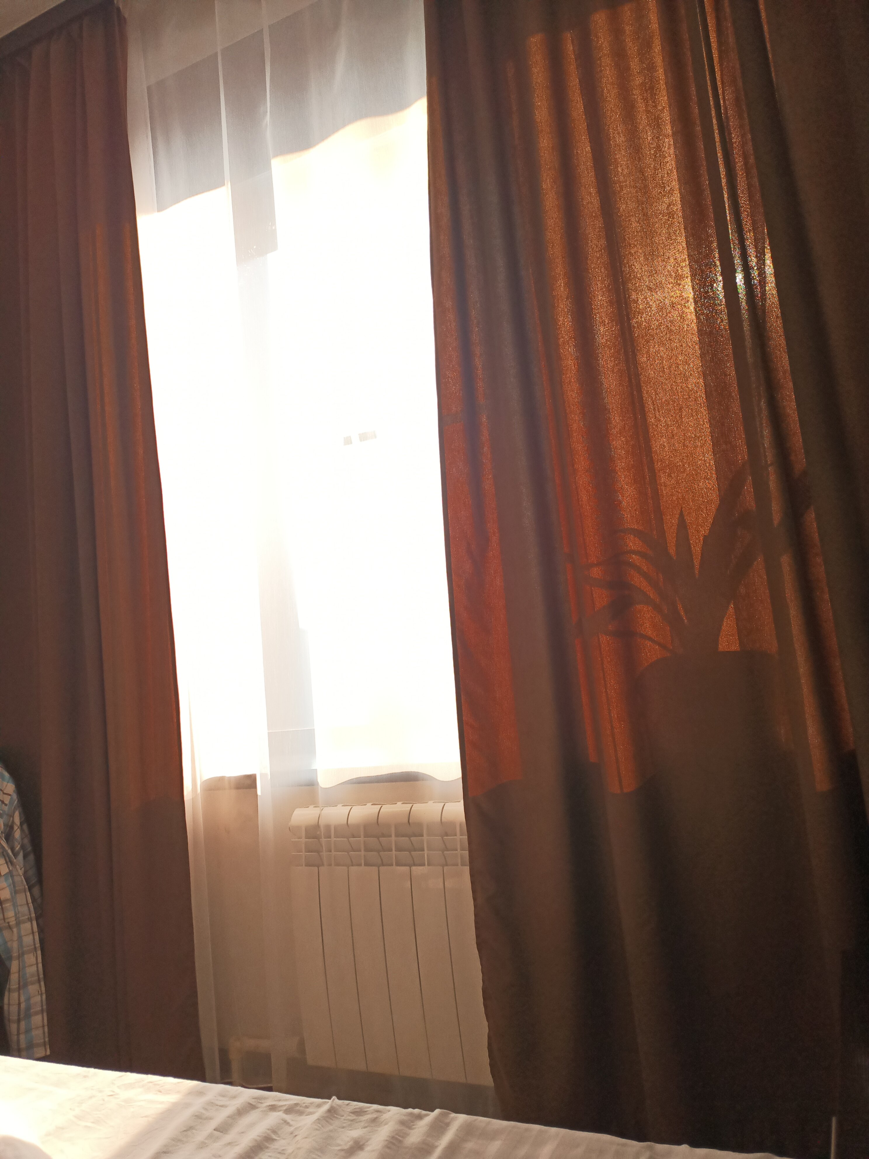 Фото Holiday Hotel