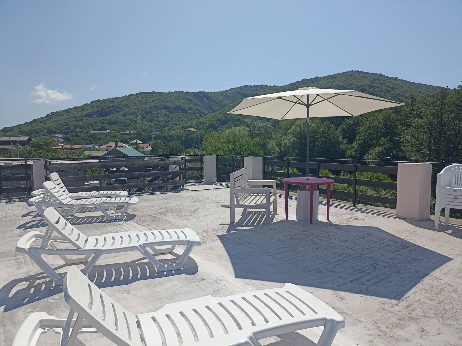 Фото Пчелка