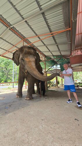 Elephant Jungle Sanctuary