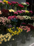 Flower Concept (Hovsep Emin Street, 92), floristeria