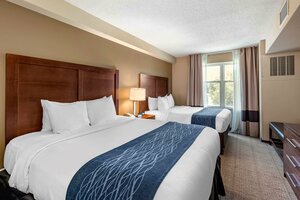 Гостиница Comfort Inn & Suites Virginia Beach - Norfolk Airport