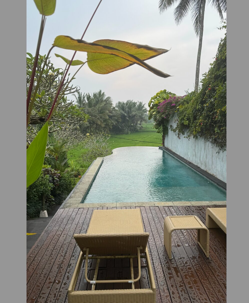 Фото Ubud Padi Villas