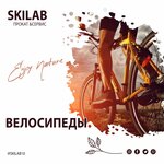 Skilab (Petrozavodsk, Kurganskiy proyezd, 3), sports equipment