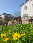 Madoyans Rest House (Aragatsotn Region, Antarut village) ، بيت الضيافة