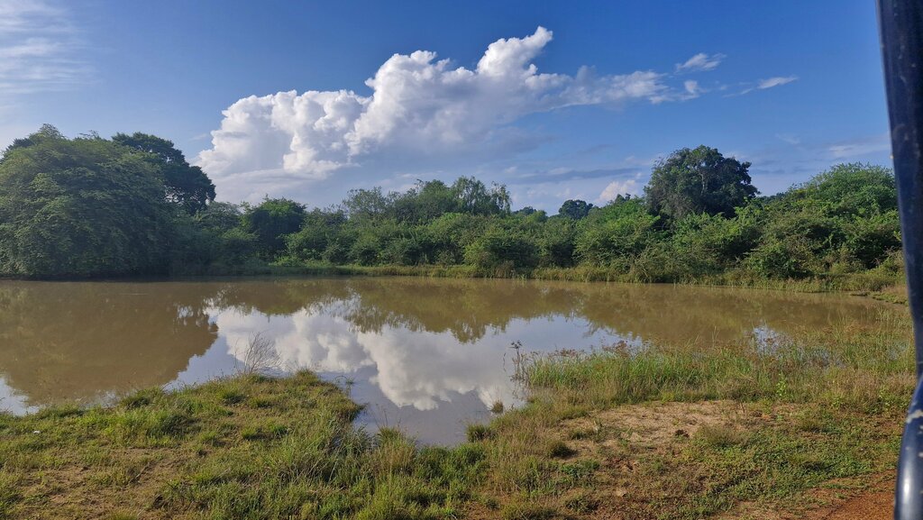 Landmark, attraction Hikkaduwa National Park, Southern Province, photo