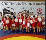 Сокол (istoricheskiy rayon Khokhlovo Pole, ulitsa Koli Podryadchikova, 9) ، نادي رياضي، مجموعة