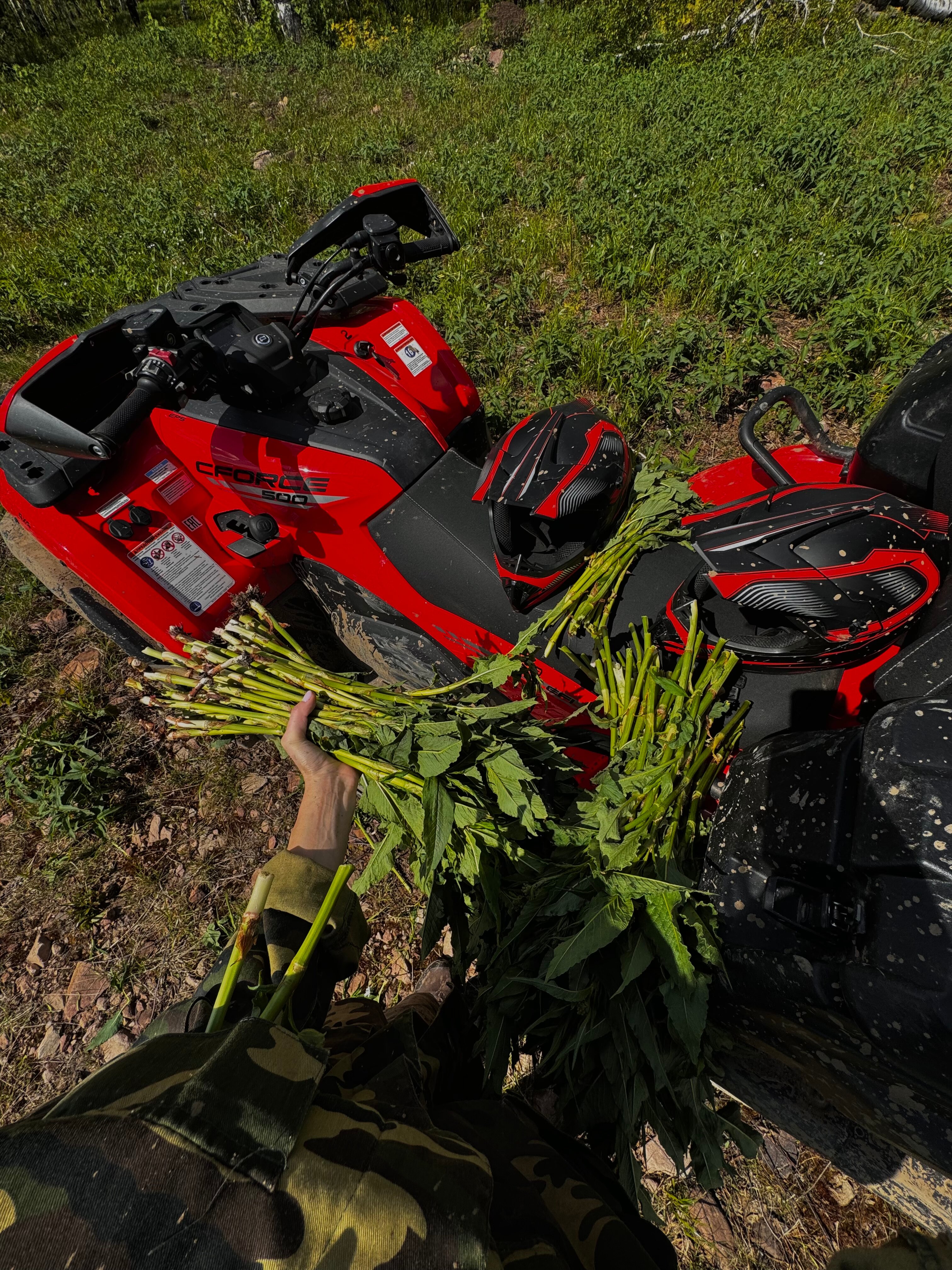 Фото Шале Аджигардак