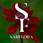 SarFlora (Провиантская ул., 30/9), магазин цветов в Саратове