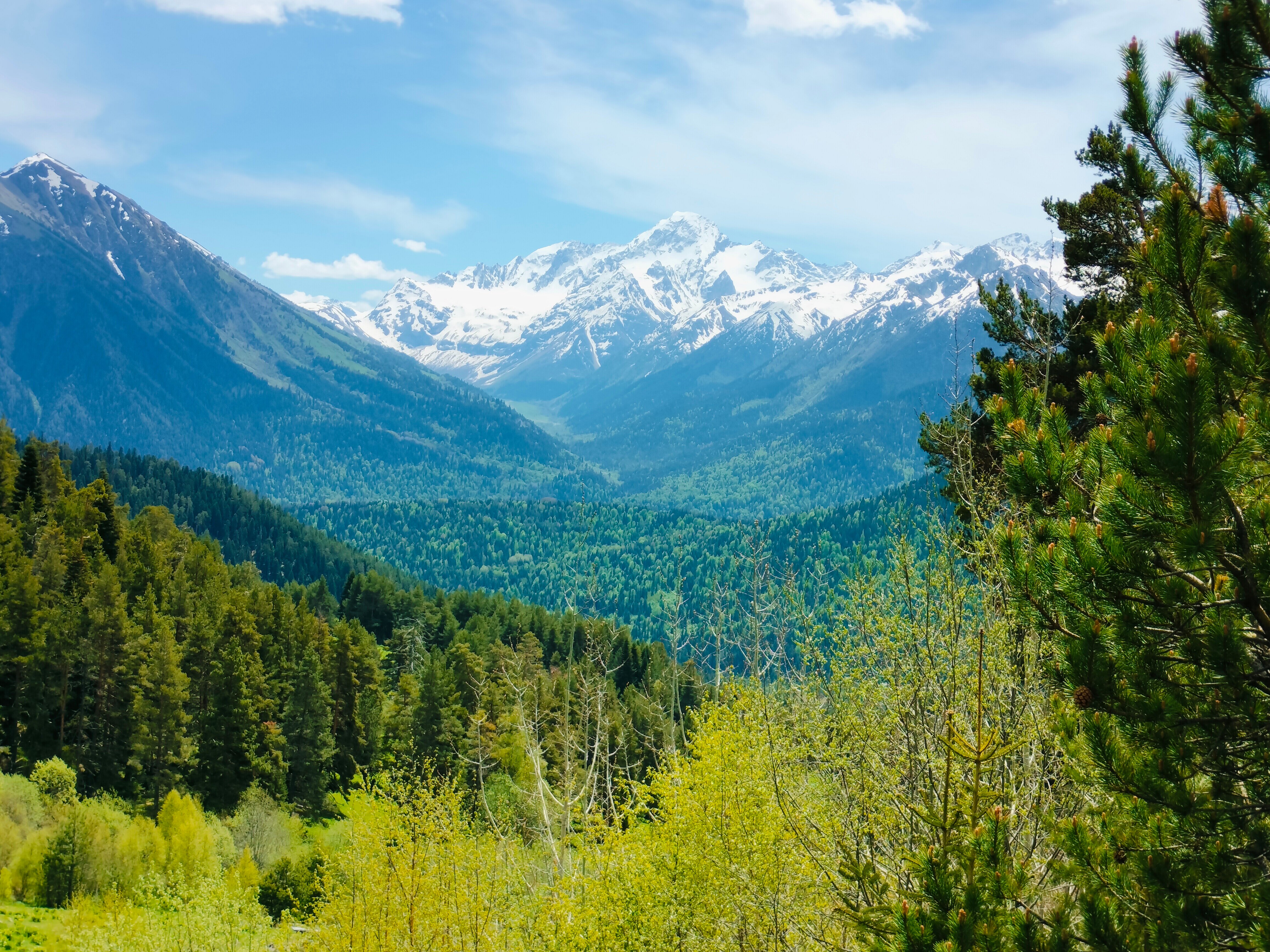 Фото Alean Club Sophia