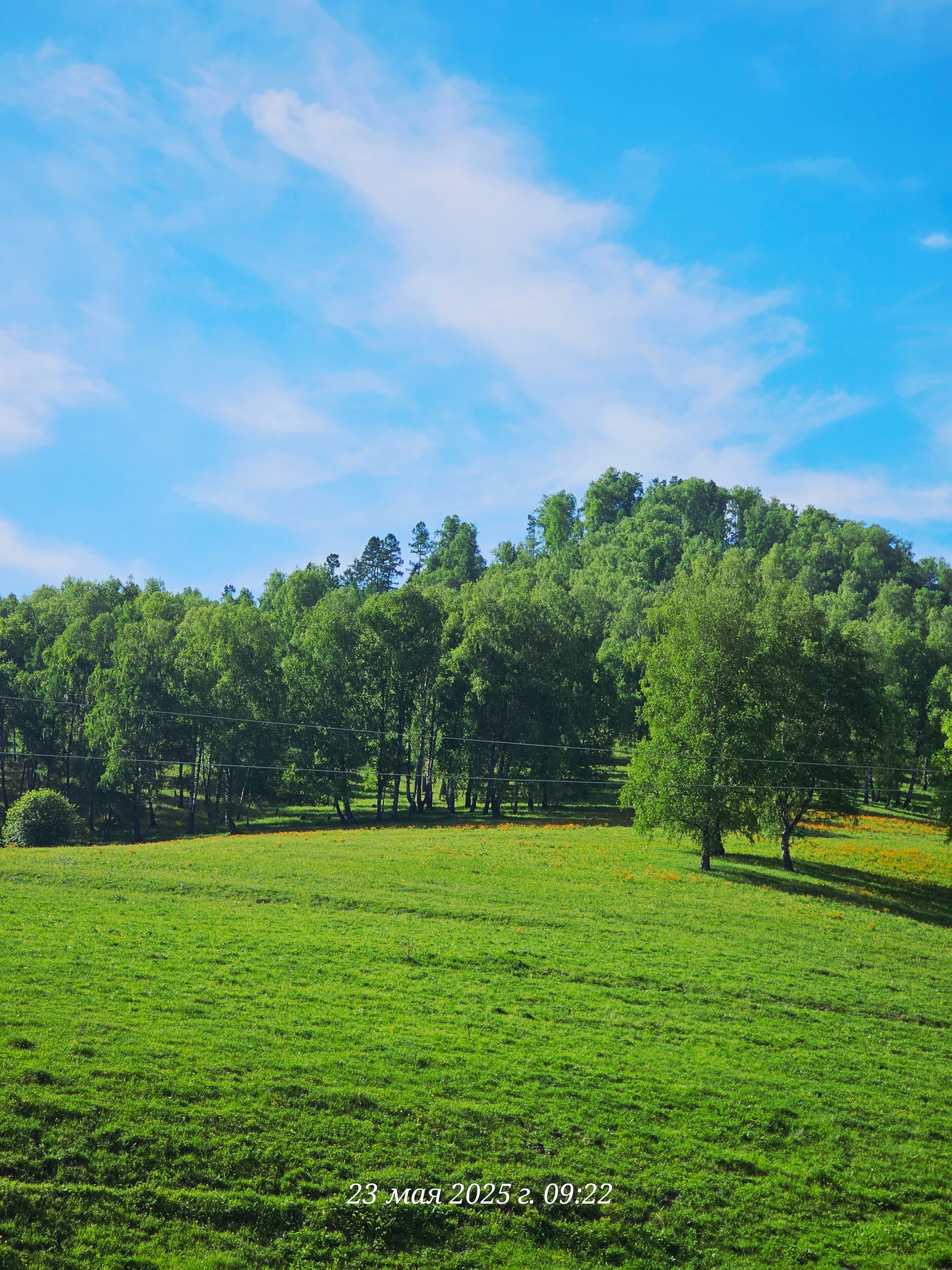 Фото Барлак