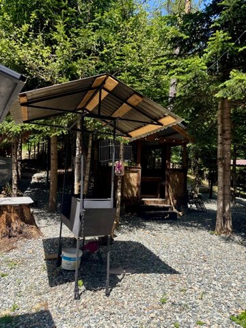 Фото Триумф