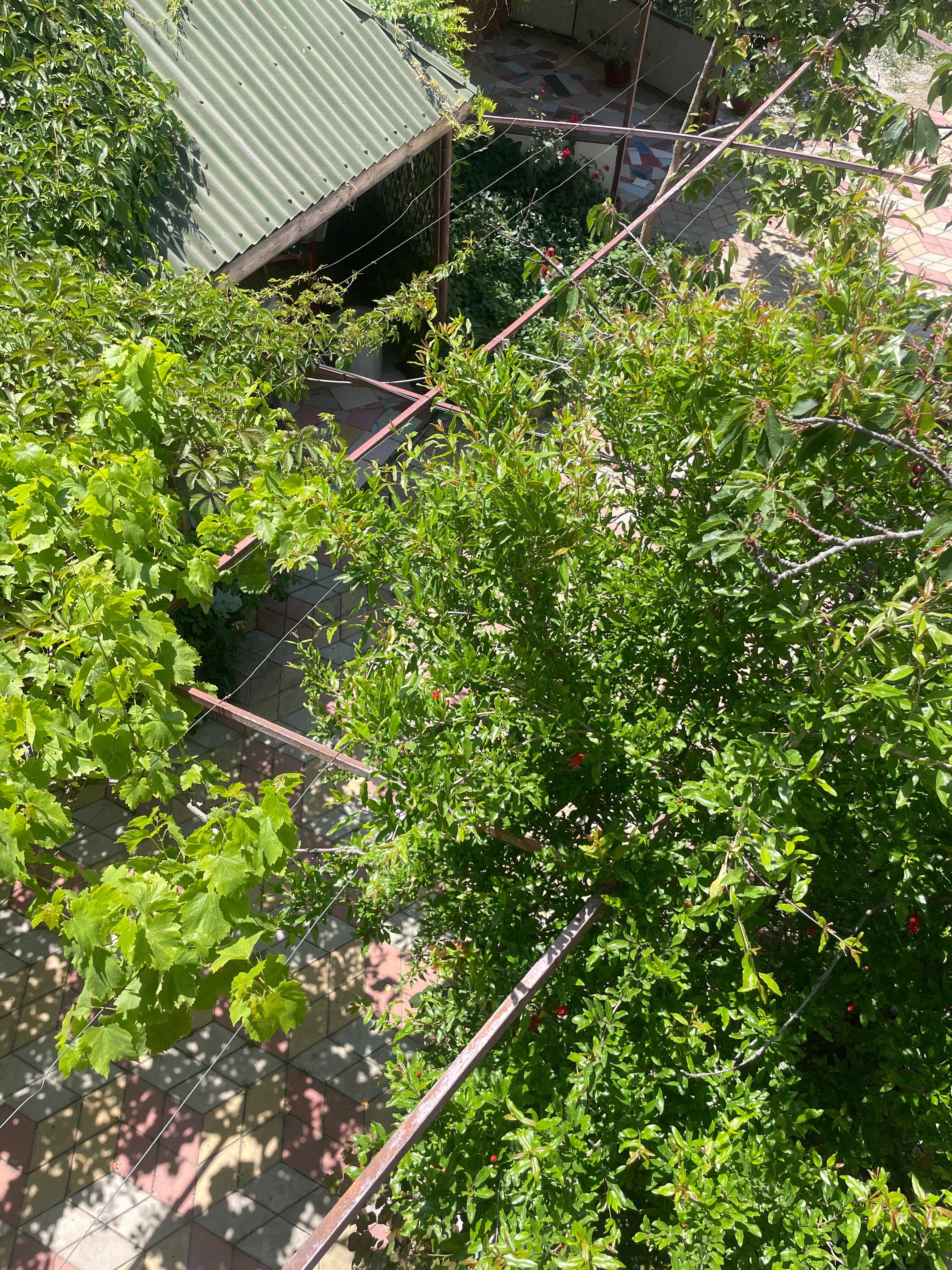 Фото Эльвира