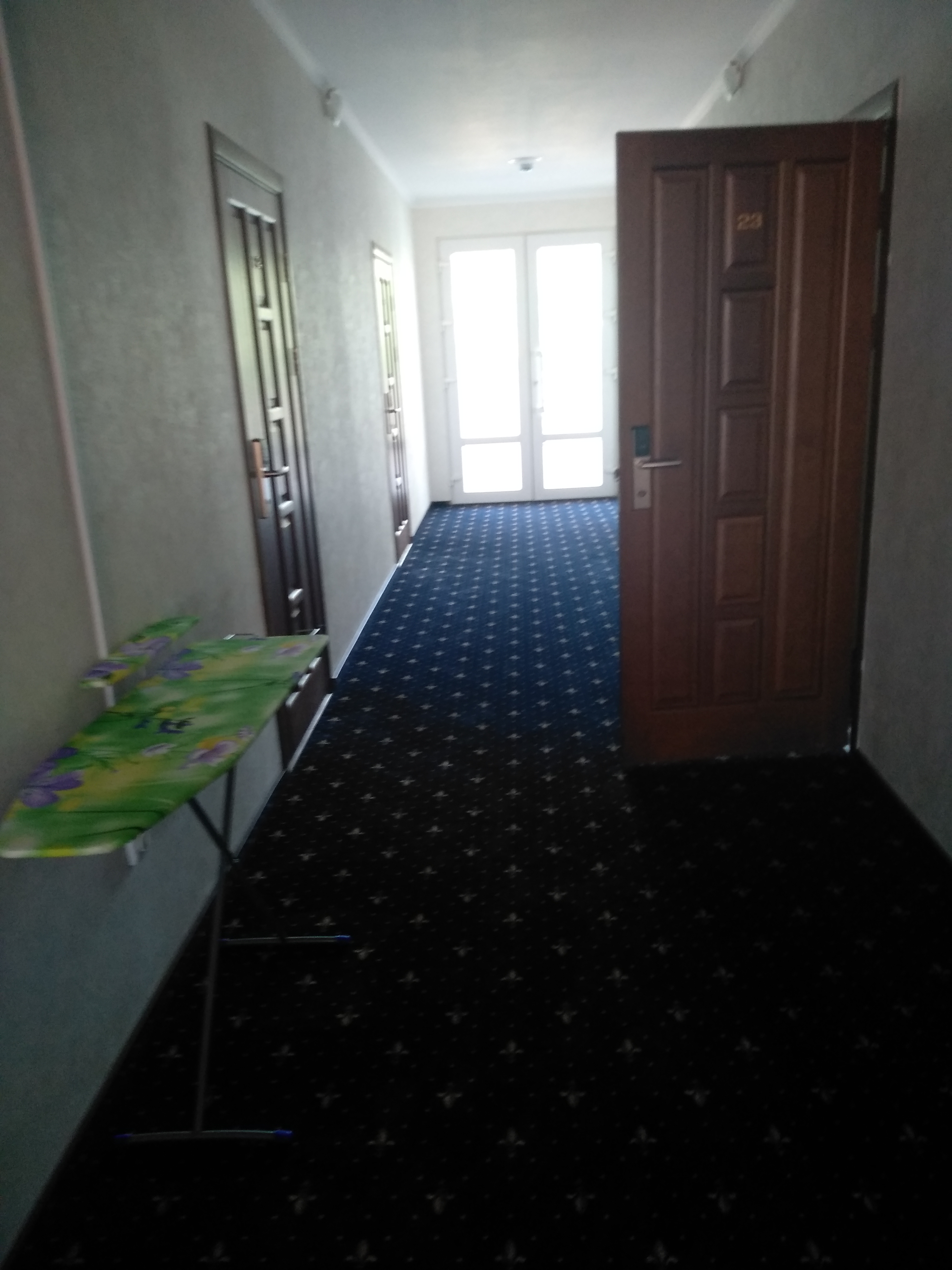 Фото Каштан