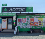 Лотос (Мурманская ул., 17), магазин хозтоваров и бытовой химии в Елизово