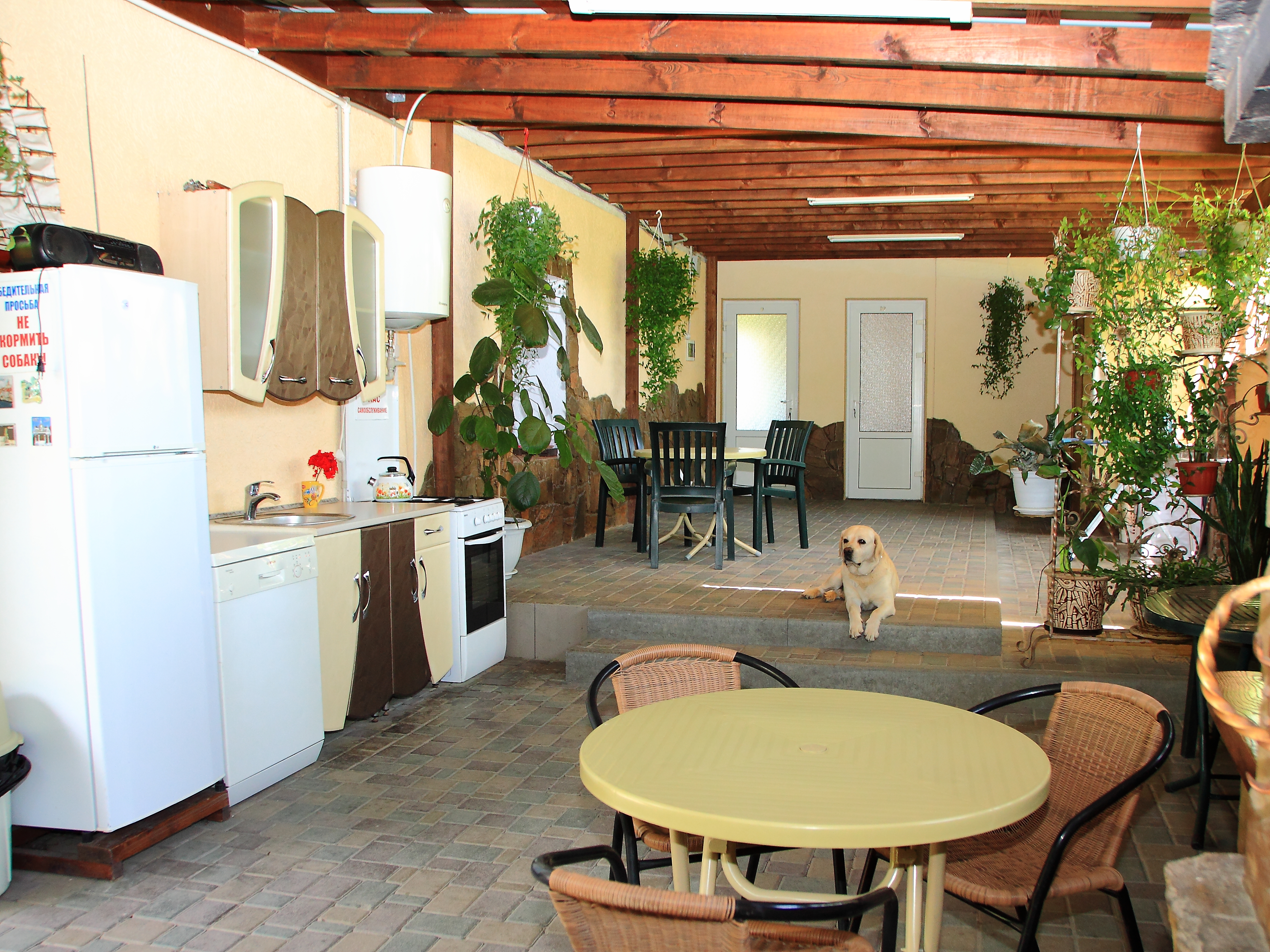 Фото Нептун у реки