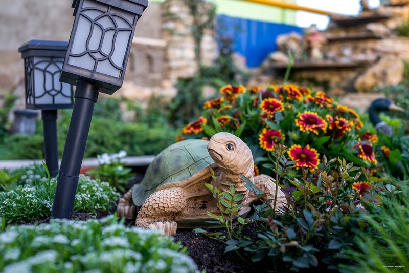 Фото Синяя Крыша