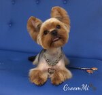 GroomMi (prospekt Oktyabrya, 51), salón de mascota, peluquería de animales