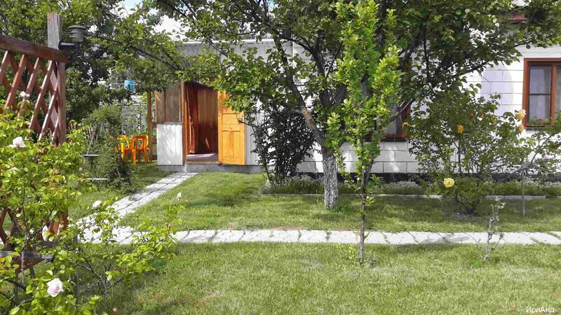 Фото ИриАнд