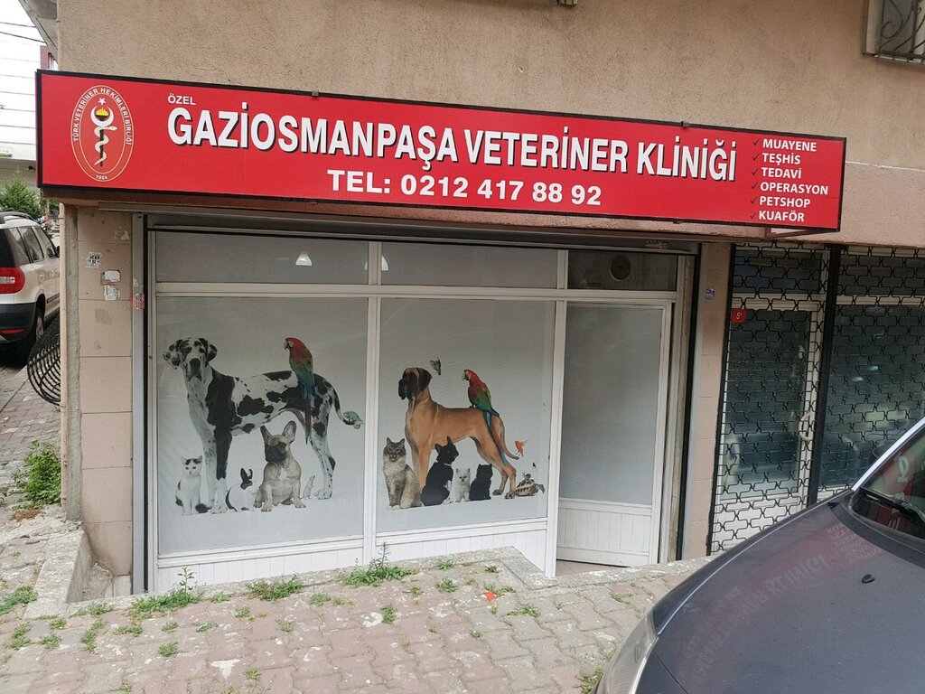 ozel gaziosmanpasa veteriner klinigi veteriner klinikleri merkez mah eflak sok no 5 a gaziosmanpasa istanbul turkiye yandex haritalar