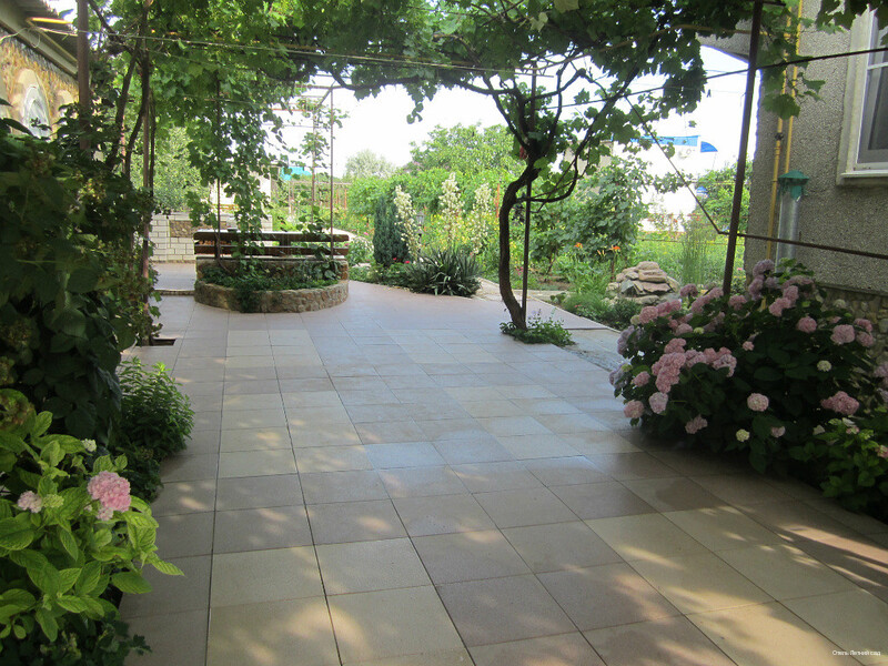 Фото Летний сад