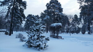 Киевтегі жезөкшелер, Деснян ауданы