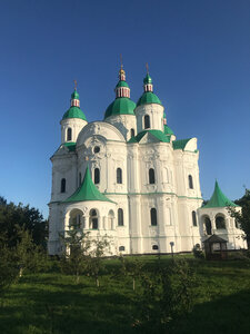 Cathedral of the Nativity of the Theotokos (selyshche miskoho typu Kozelets) ، كنيسة أرثوذكسية