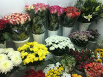 Rosa Bianca Studio (posyolok Dorokhovo, ulitsa Nevkipelogo, 49), flower shop