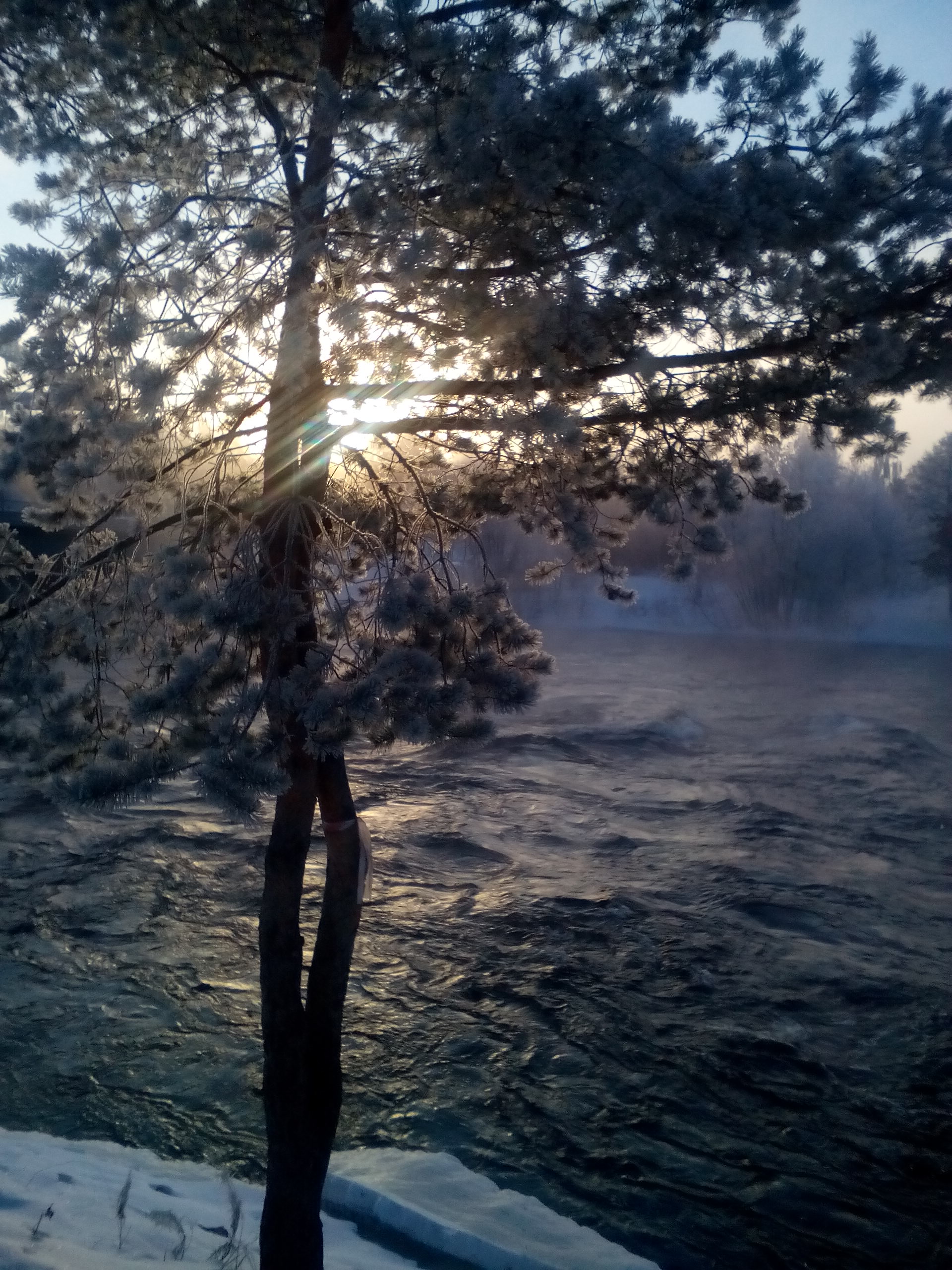 Фото Угребись