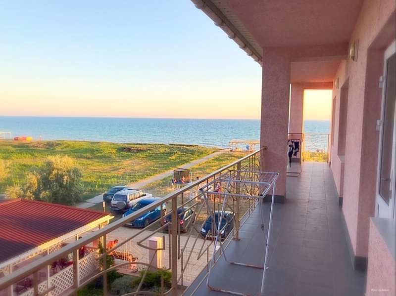 Фото Шафран