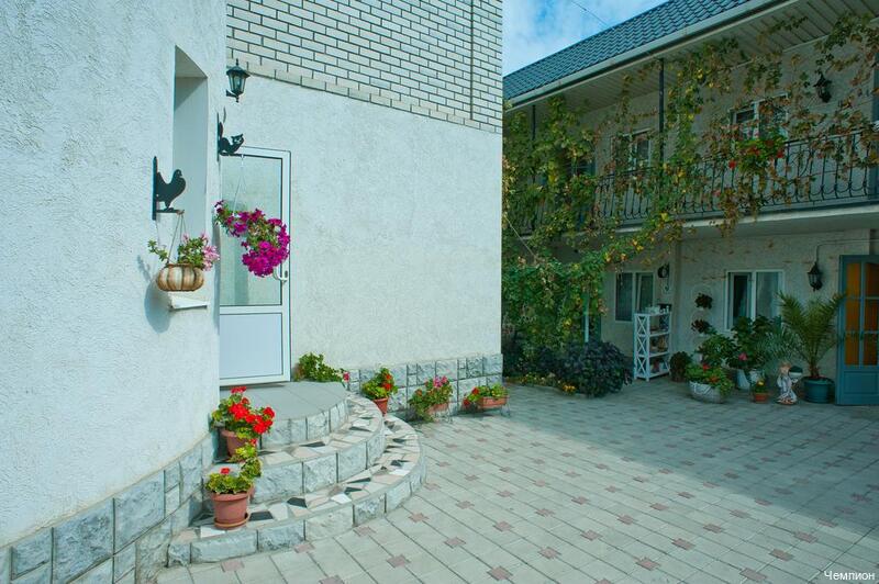 Фото Чемпион