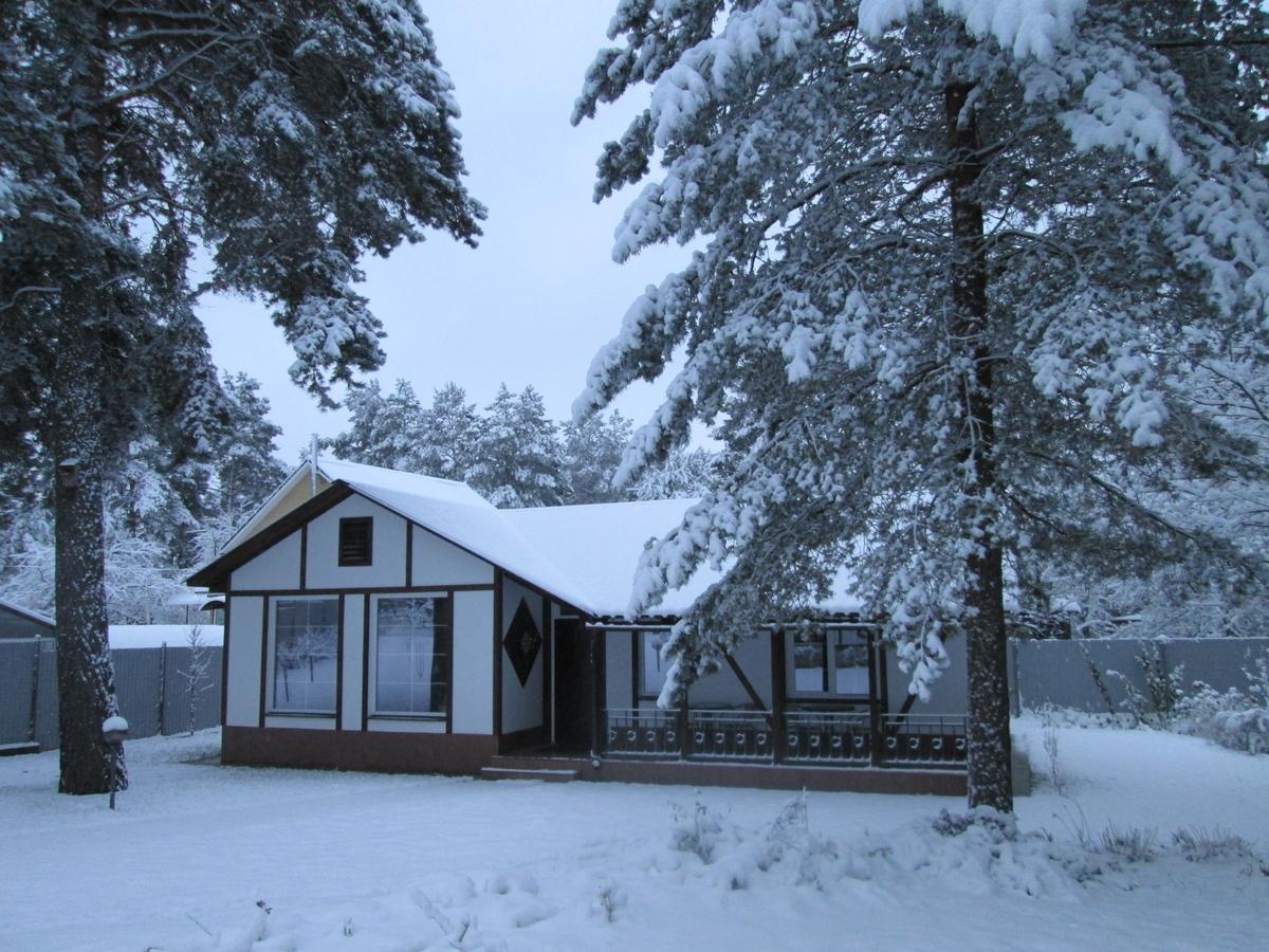 Фото Дом под соснами