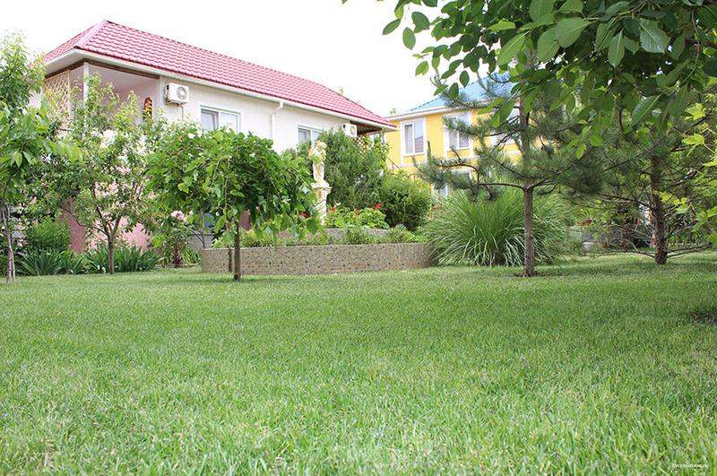 Фото Медовый месяц