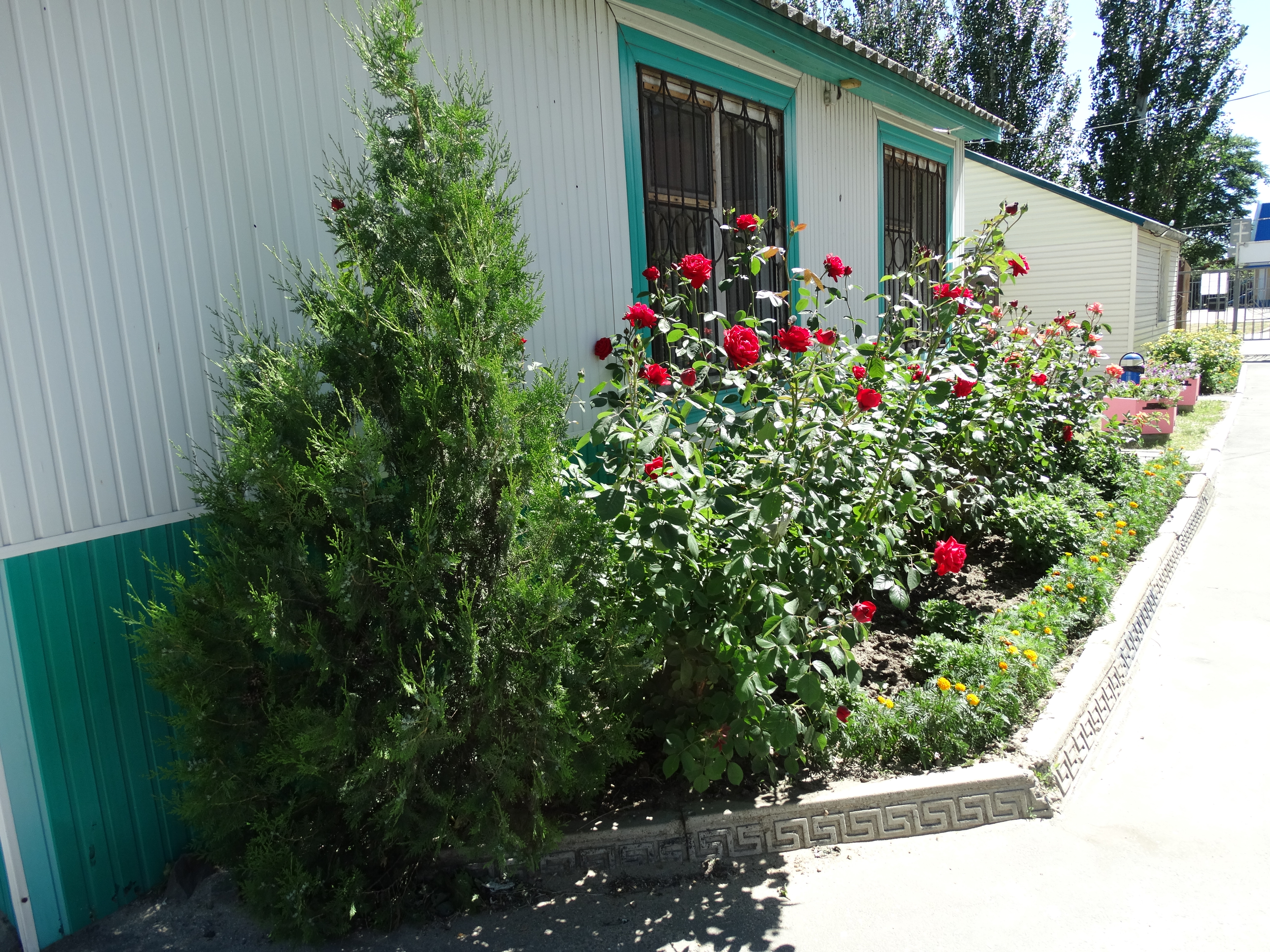 Фото Песчаная коса