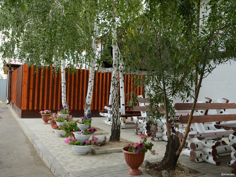 Фото Дилижанс