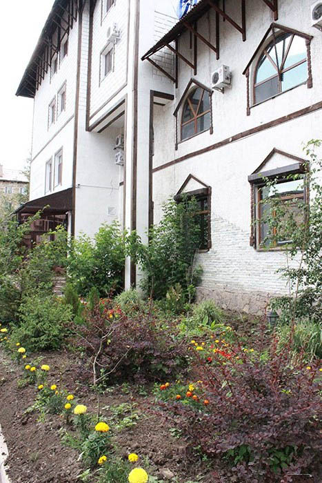 Фото Метелица