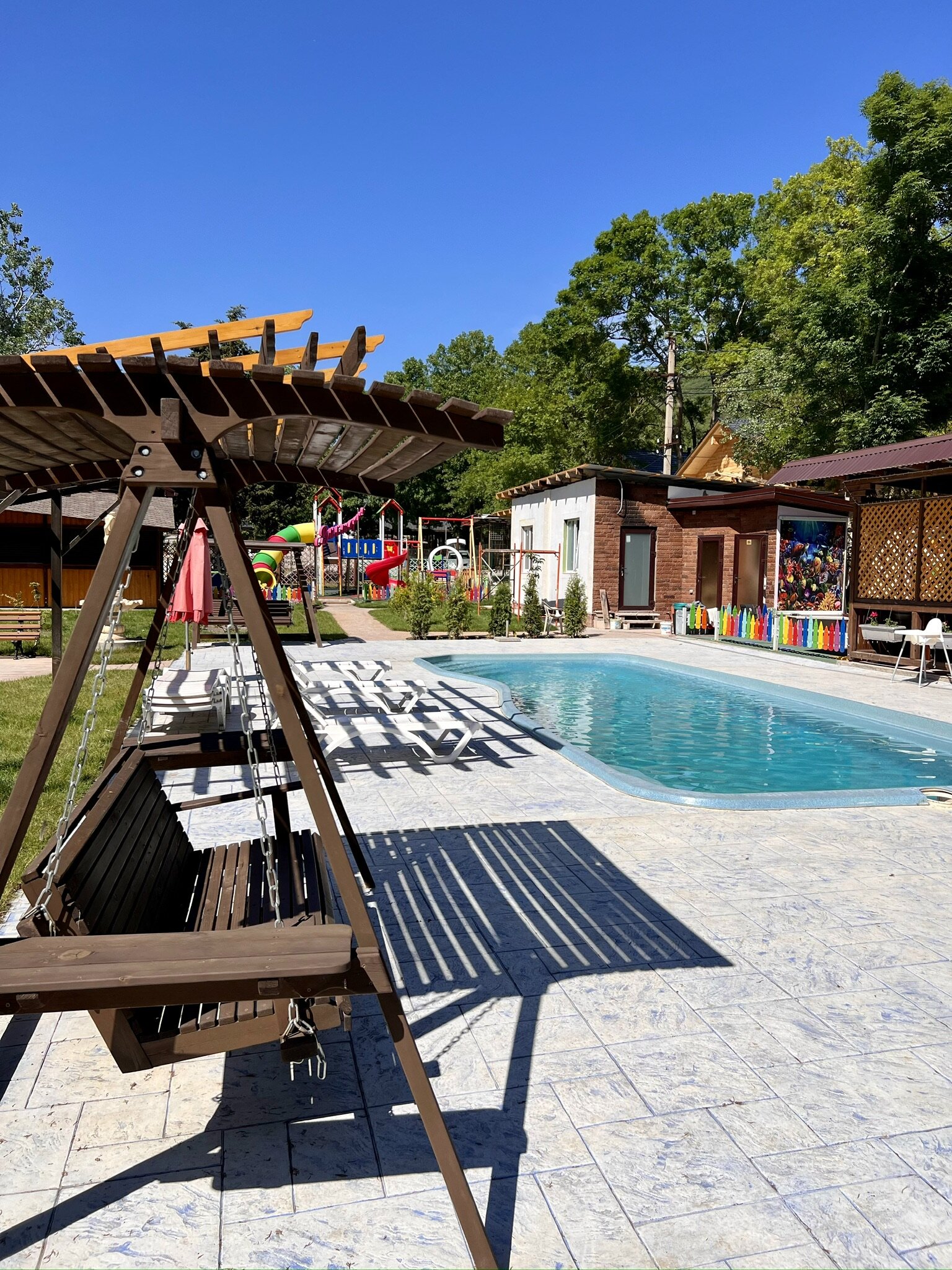 Фото Ромашка